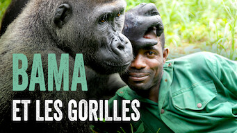 Bama et les gorilles (2011)