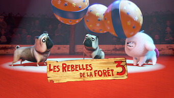 Les Rebelles de la forêt 3 (2010)