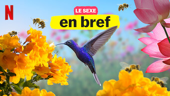 Le sexe, en bref (2020)