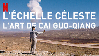 L'échelle céleste : l'art de Cai Guo-Qiang (2016)