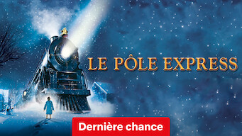 Le Pôle Express (2004)