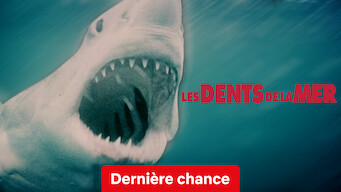 Les dents de la mer (1975)