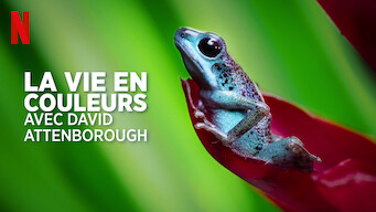 La Vie en couleurs avec David Attenborough (2021)