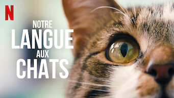 Notre langue aux chats (2022)