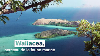 Wallacea, berceau de la faune marine (2007)