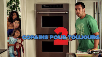 Copains pour toujours 2 (2013)