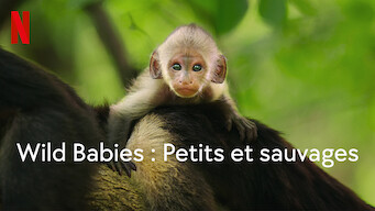 Wild Babies : Petits et sauvages (2022)