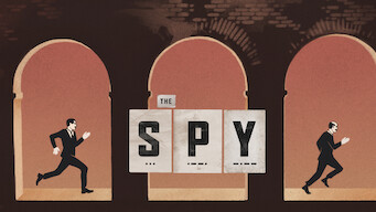 The Spy (2019)