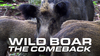 Wild Boar: The Comeback (2017)