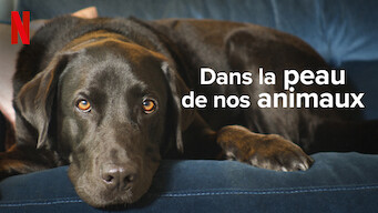 Dans la peau de nos animaux (2022)