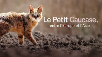 Le Petit Caucase, entre l'Europe et l'Asie (2016)