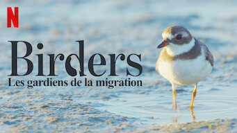 Birders : Les gardiens de la migration (2019)