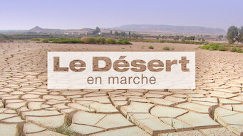 Le Désert en marche (2007)