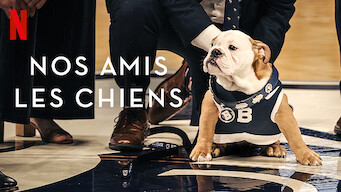 Nos amis les chiens (2021)