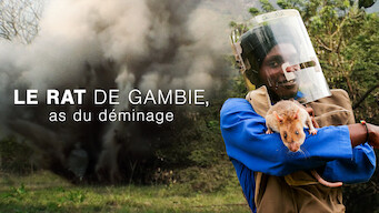 Le Rat de Gambie, as du déminage (2008)