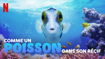 Comme un poisson dans son récif (2021)