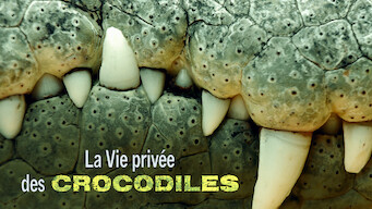 La Vie privée des crocodiles (2011)