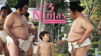 Les 3 ninjas contre-attaquent (1994)