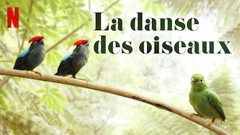 La danse des oiseaux (2019)