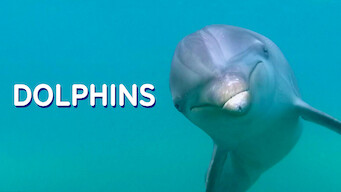 Au plus près des dauphins (2013)