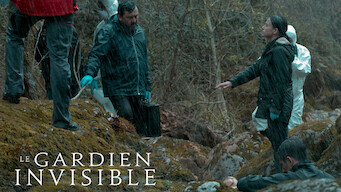 The Invisible Guardian (2017)