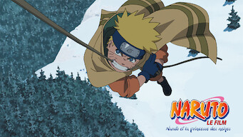 Naruto le film : Naruto et la princesse des neiges (2004)